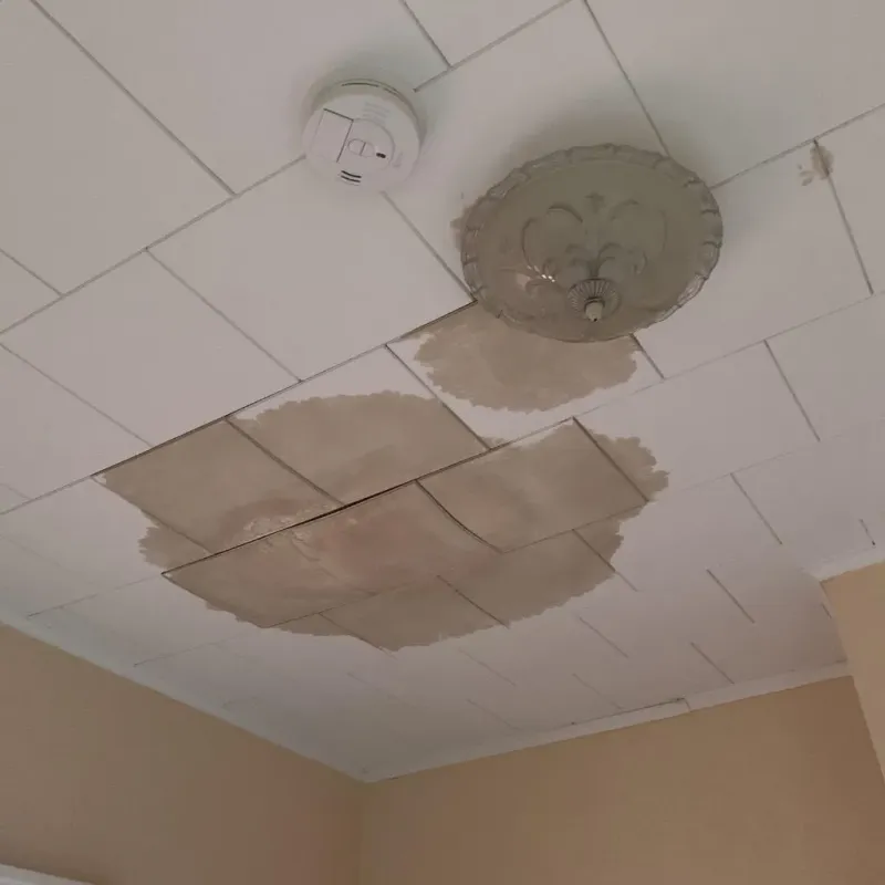 Ceiling Water Damage Repair in Royal Pines, NC