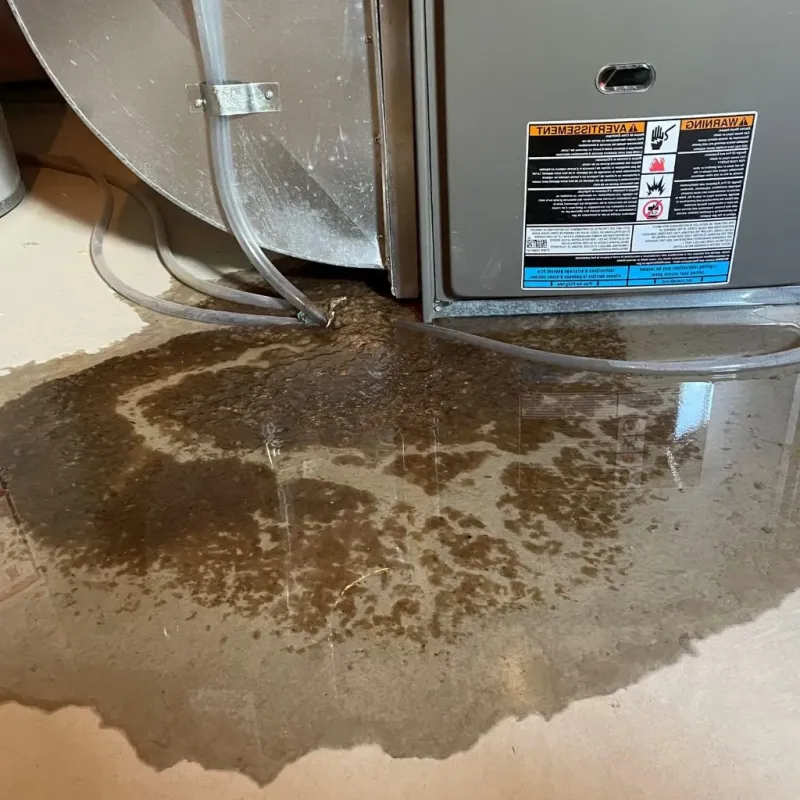 Pipe Burst and Leak Restoration in Royal Pines, NC