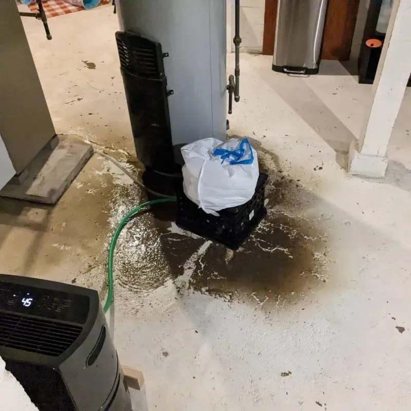 Sewage Backup Cleanup Service in Royal Pines, NC